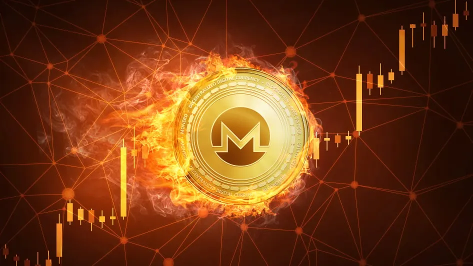 Diagram showing multiple Monero subaddresses received by one wallet
