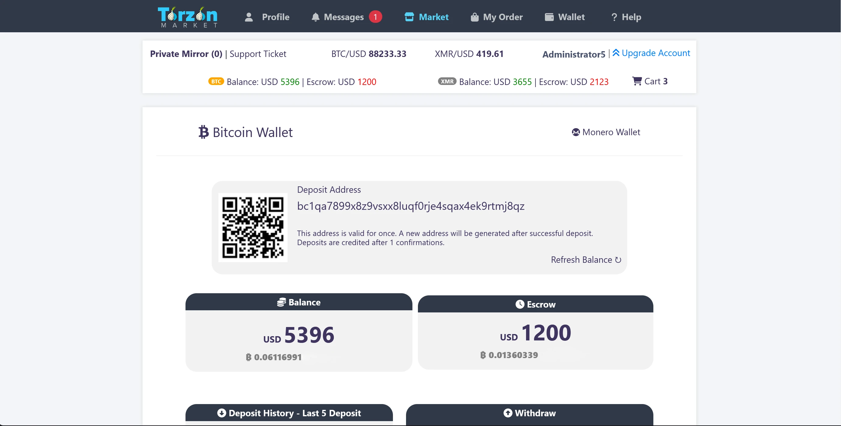 TorZon cryptocurrency wallet showing Bitcoin and Monero balance with deposit addresses