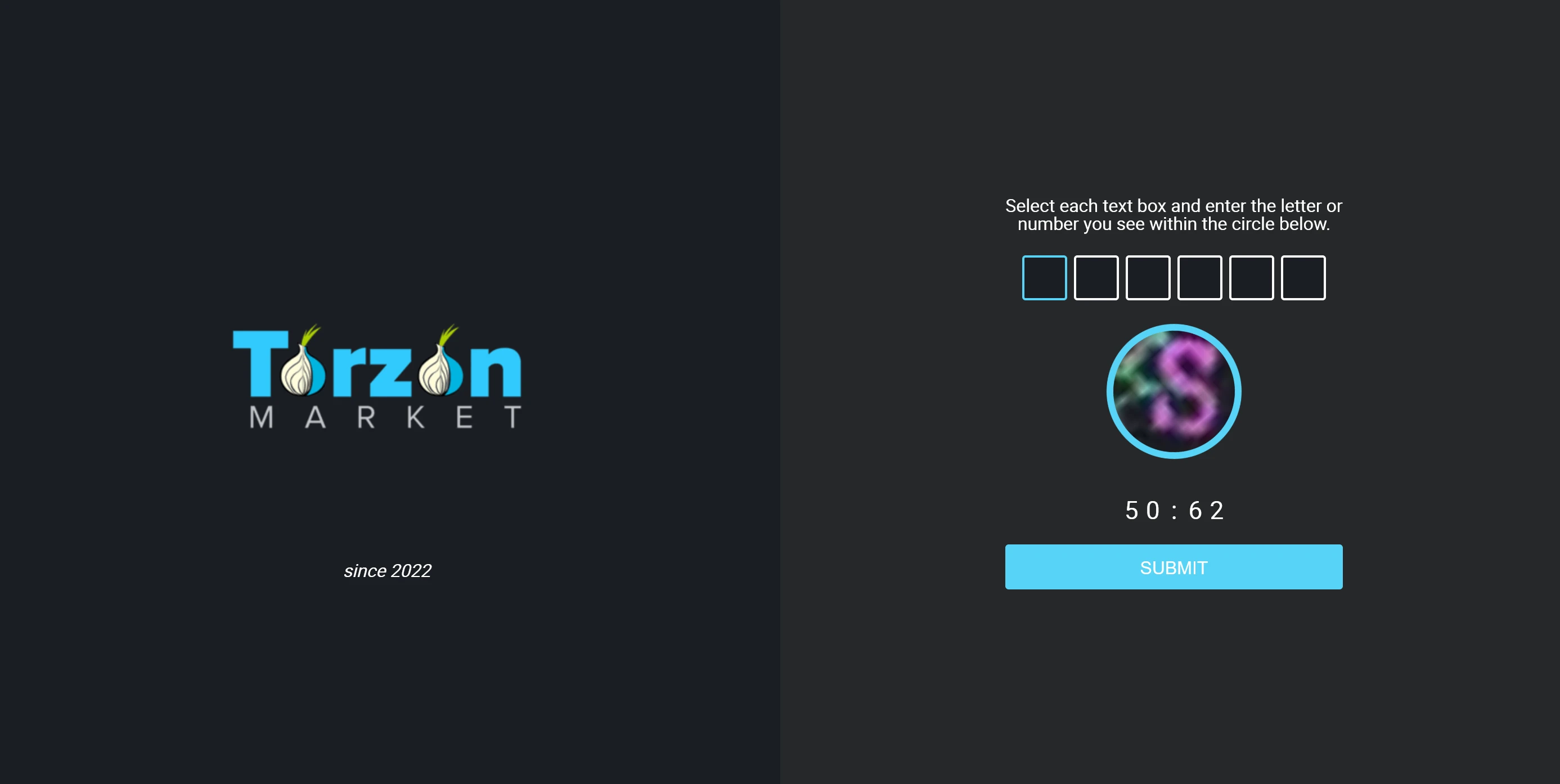 TorZon Market captcha verification page protecting against automated bot access
